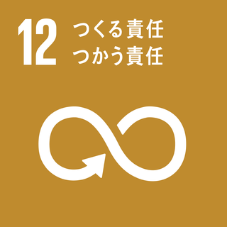 Sdg_icon_12_ja